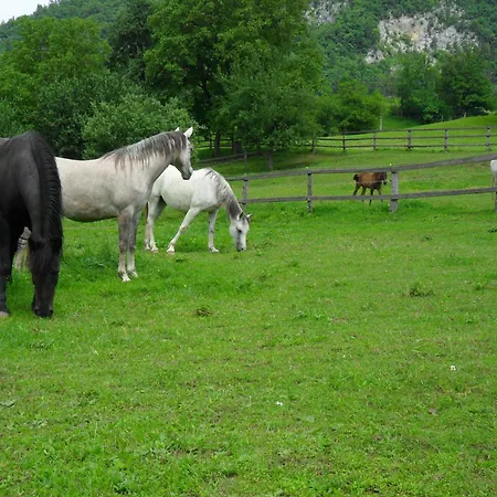 Gæstehus And Jerman 3*