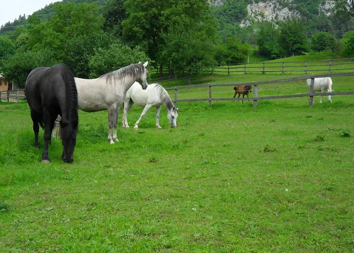 Gostinjska kuća And Jerman 3*